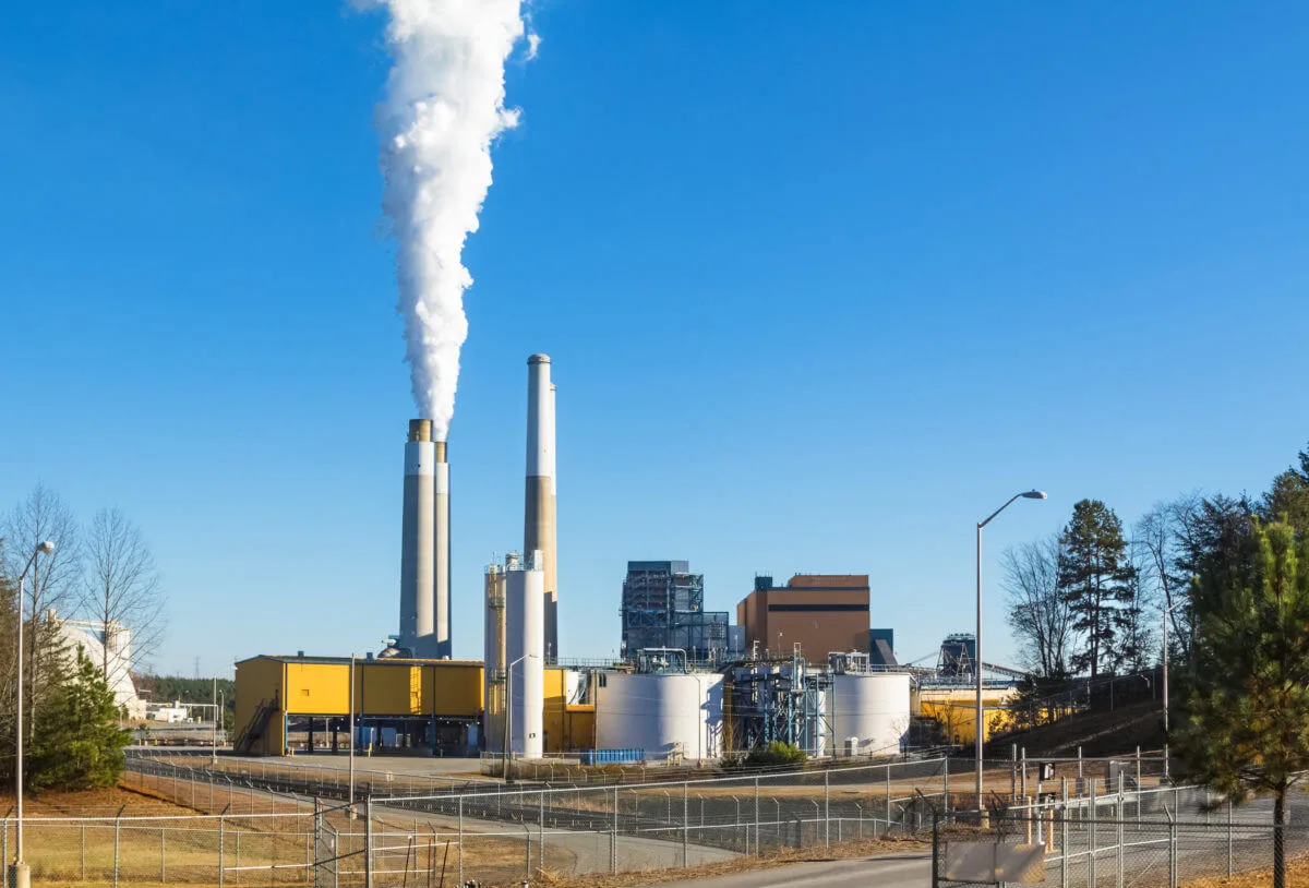 Uncategorized - Cardinal & Pine