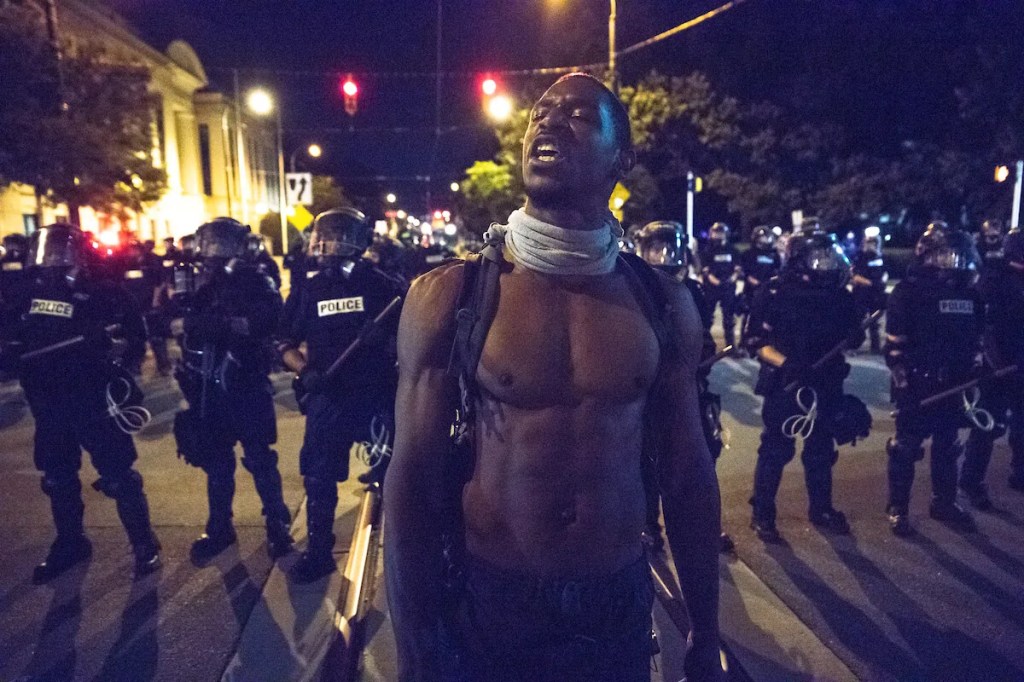 2020 Was a Drag. But Here’s My (Incomplete) List of the Cardinal & Pine Stories That Soared.