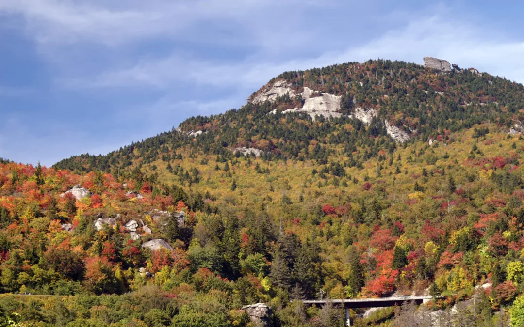 The Last County In North Carolina Without a Confirmed COVID-19 Case