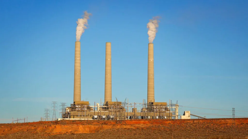 Uncategorized - Cardinal & Pine