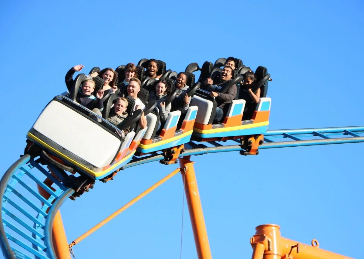 Uncategorized - Cardinal & Pine