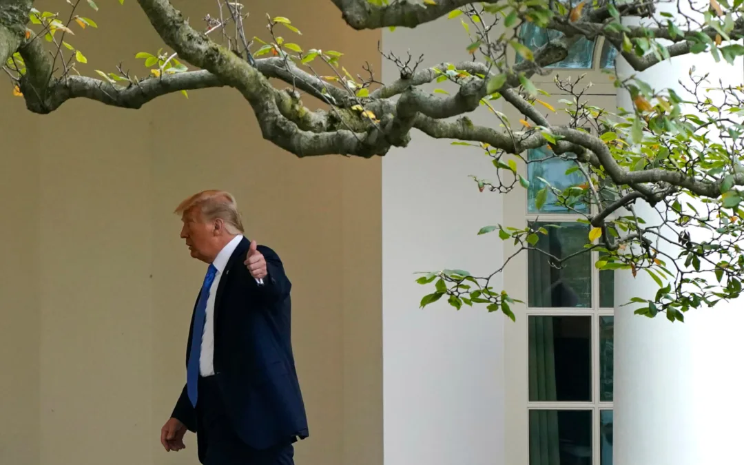 After Trump’s Attacks on Election, Both Parties Vow Orderly Transition