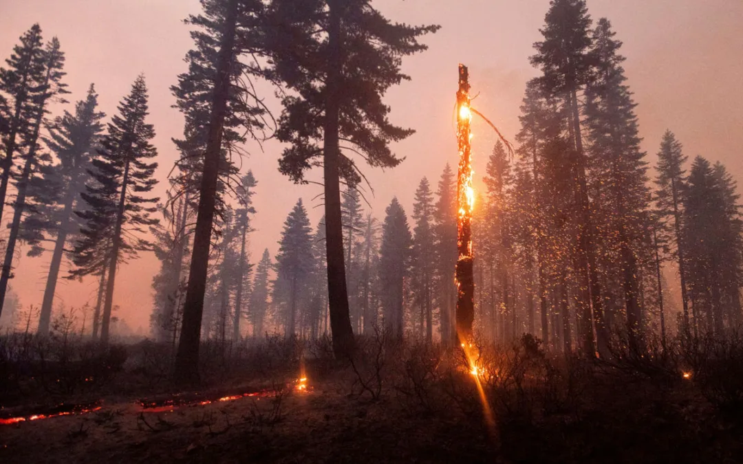 Billion-Dollar Disasters Are More Frequent Than Ever in the US—Wildfires Are Only Part of That Toll