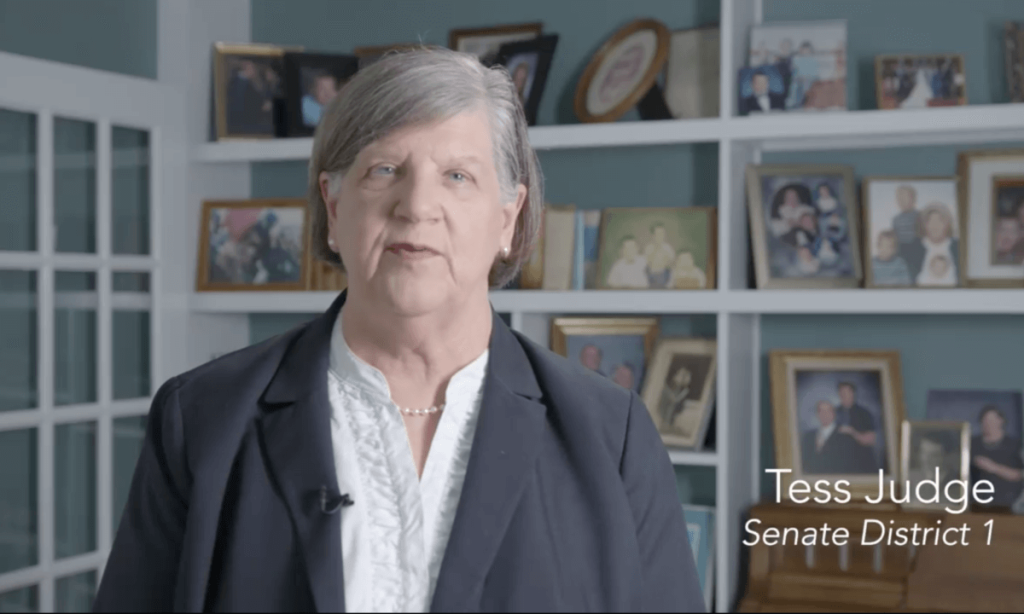 ‘Health Care Should Not Be a Partisan Issue’: Battle Lines Get Drawn in Eastern NC Swing District