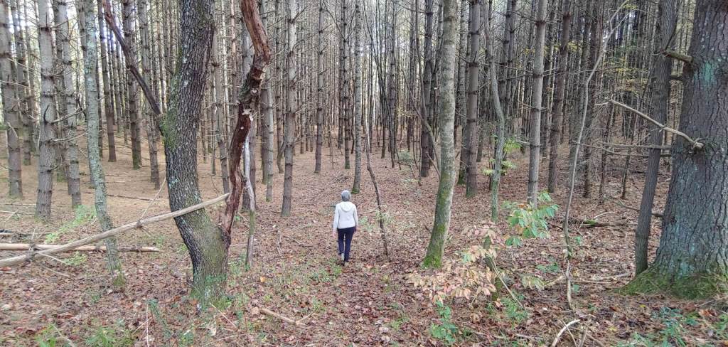 Between COVID and the Election, We Need to Chill. A NC Yoga Instructor Tells Us How.