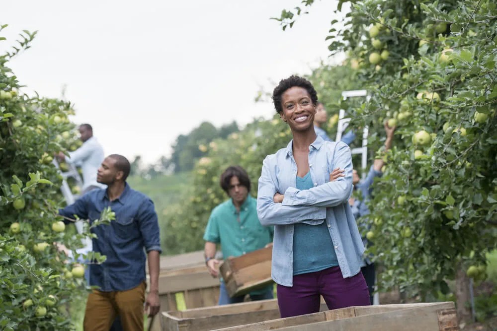 It’s Apple-Picking Season in North Carolina. Here’s Our Guide to the Best Spots This Fall.