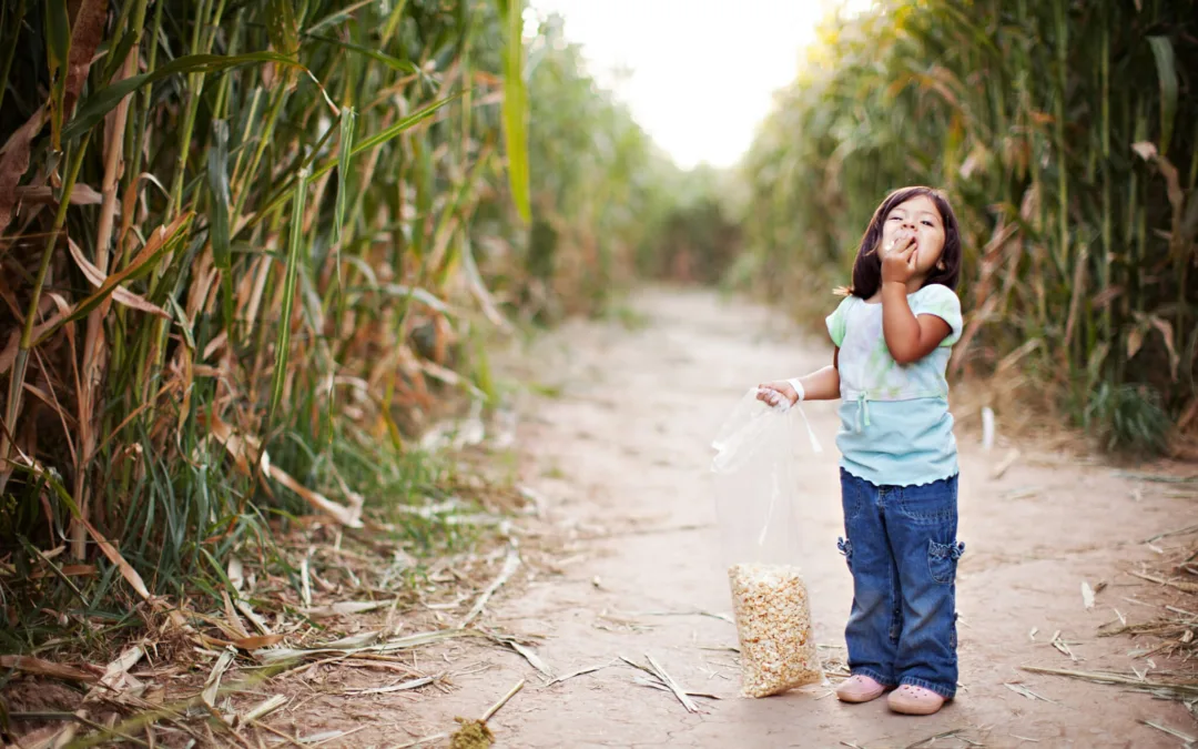 Eight NC Corn Mazes to Get Lost in This Year