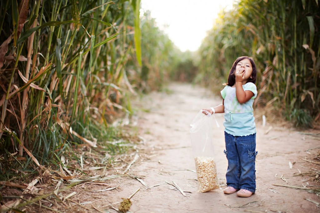 Eight NC Corn Mazes to Get Lost in This Year