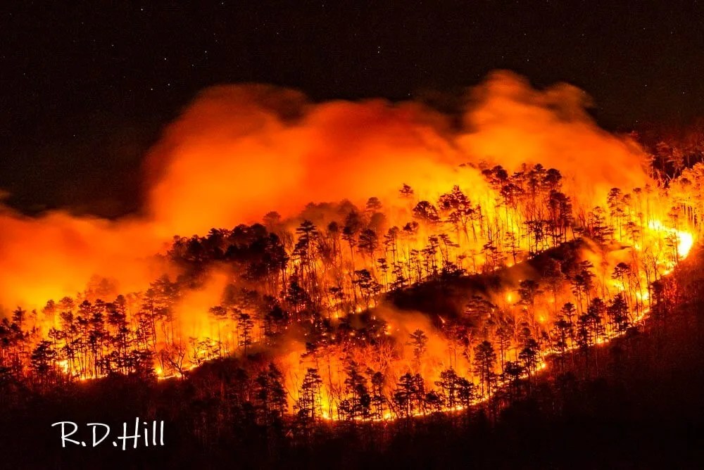 Pilot Mountain Is Burning. North Carolina, Climate Change Just Got Personal.
