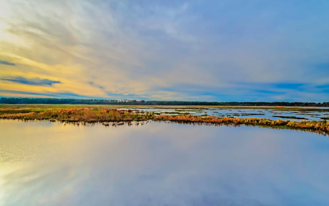 From Snowshoeing to Birding: 4 Budget-Friendly NC Winter Adventures