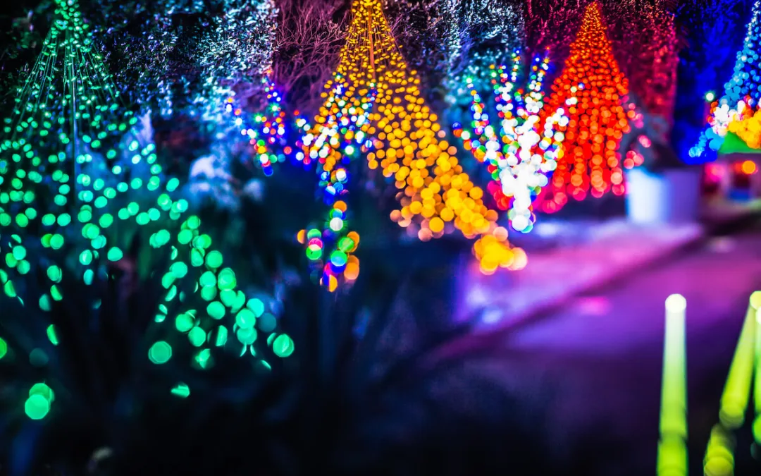 It’s Like Christmas In Your Car. Here Are 5 Eastern NC Holiday Light Displays You Can’t Miss.