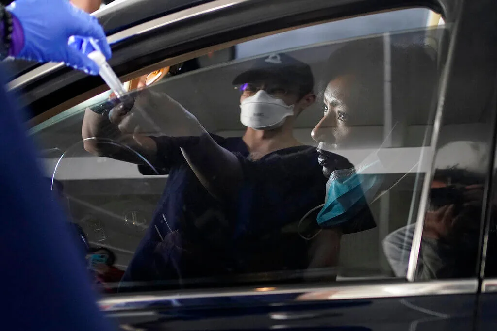 Uncategorized - Cardinal & Pine