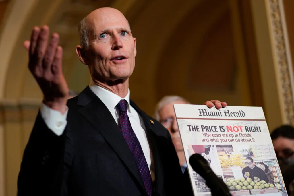 Uncategorized - Cardinal & Pine