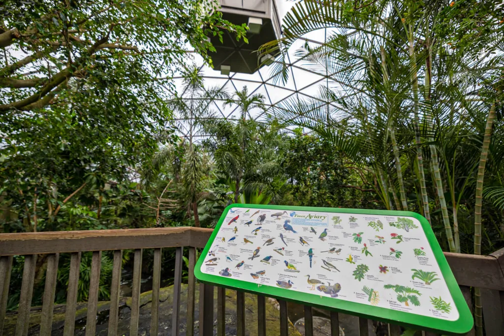 Uncategorized - Cardinal & Pine