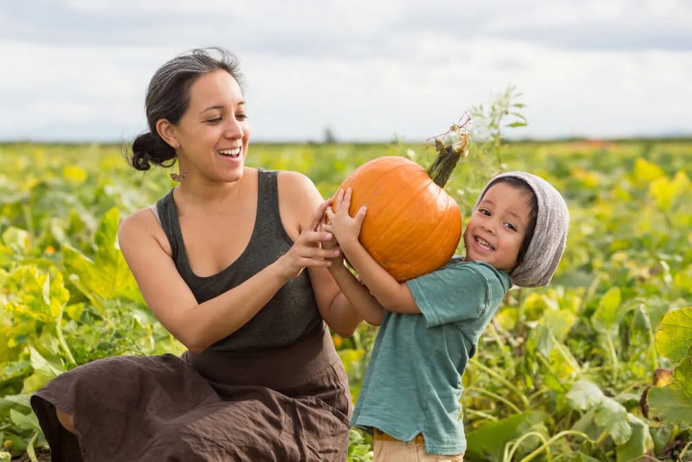 10 Locally-Owned North Carolina Farms to Pick Your Own Pumpkins This Fall￼