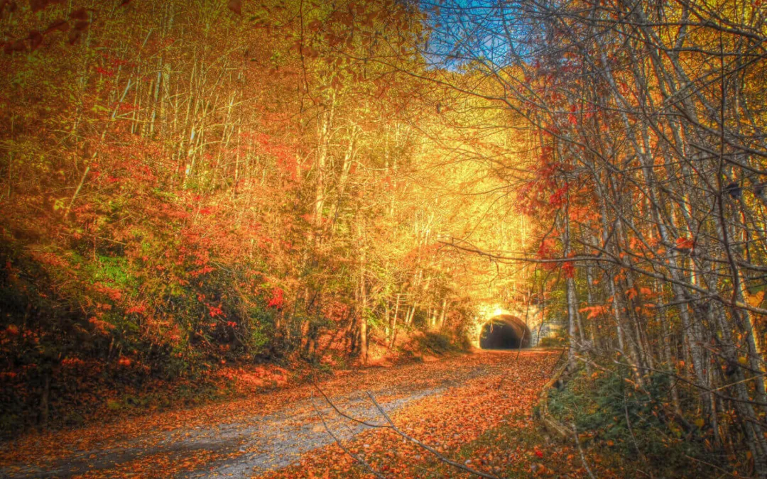 14 Hiking Trails to Conquer This Fall in North Carolina