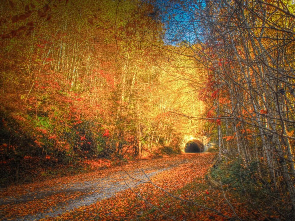 14 Hiking Trails to Conquer This Fall in North Carolina