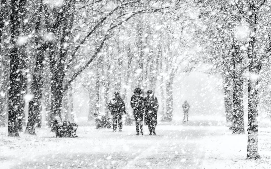 10 Biggest Snowfalls Recorded in North Carolina History