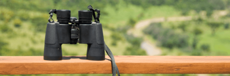 Quiz: Test Your Bird-Watching Skills