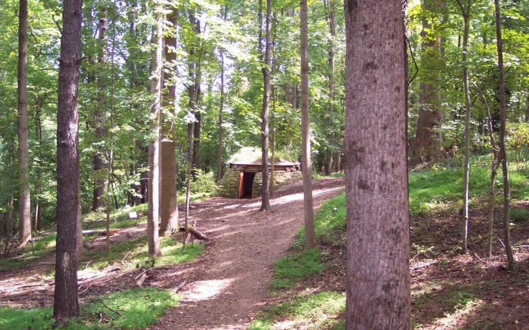 5 Weekend Activities Across North Carolina (Feb. 10-12)