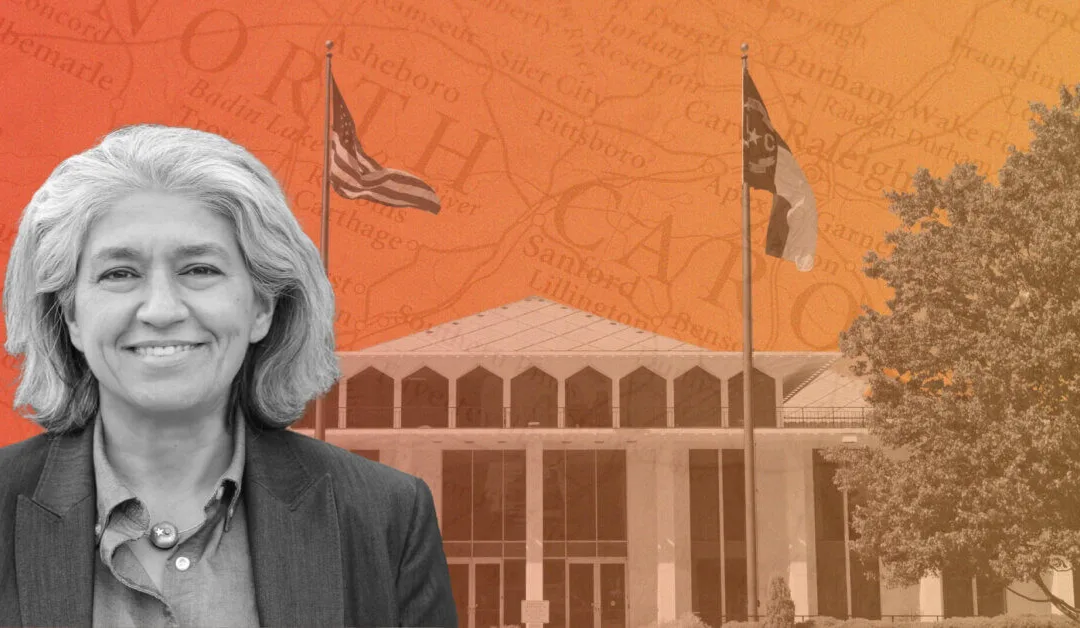 Meet Your New North Carolina Lawmakers: State Sen. Lisa Grafstein of Raleigh