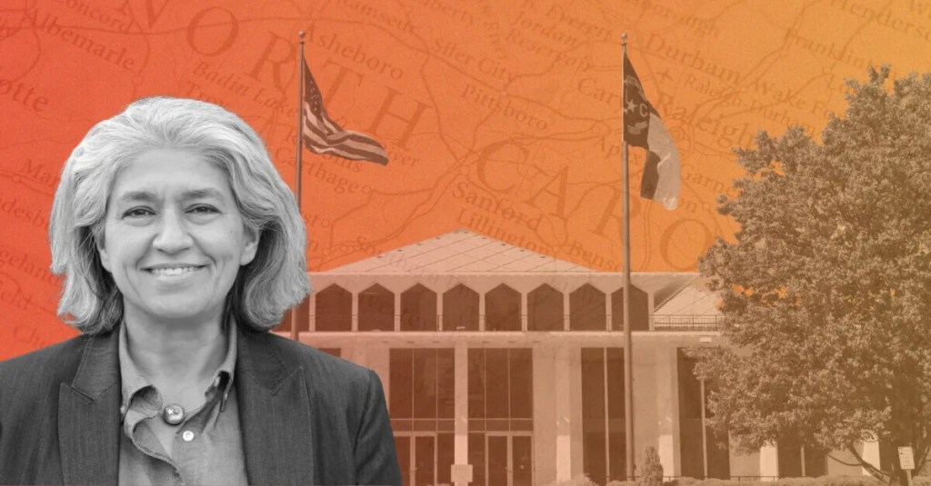 Meet Your New North Carolina Lawmakers: State Sen. Lisa Grafstein of Raleigh