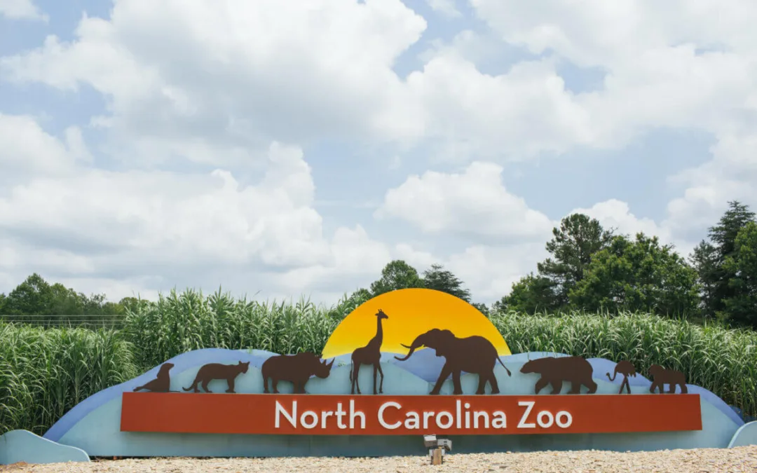 5 Weekend Activities Across North Carolina (Feb. 3-5)