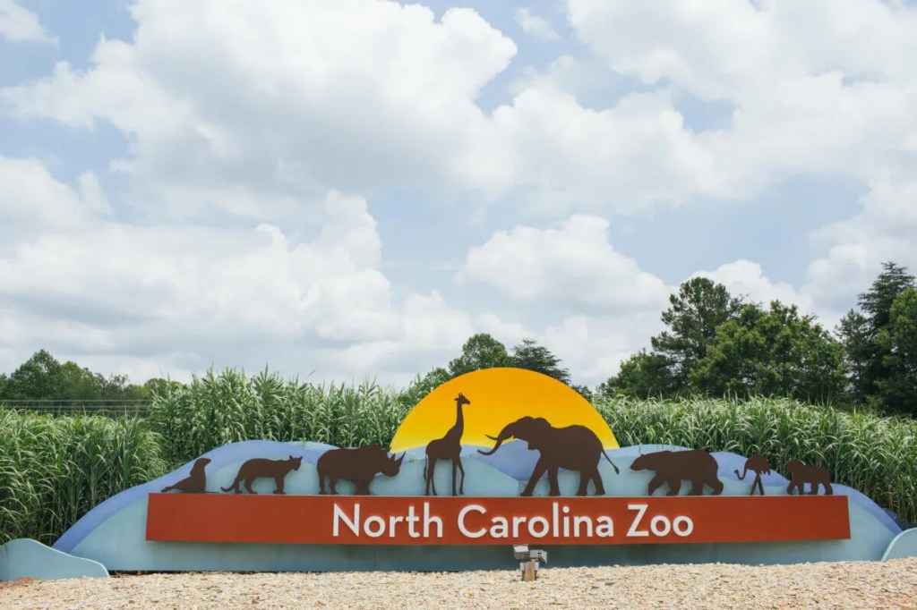 5 Weekend Activities Across North Carolina (Feb. 3-5)