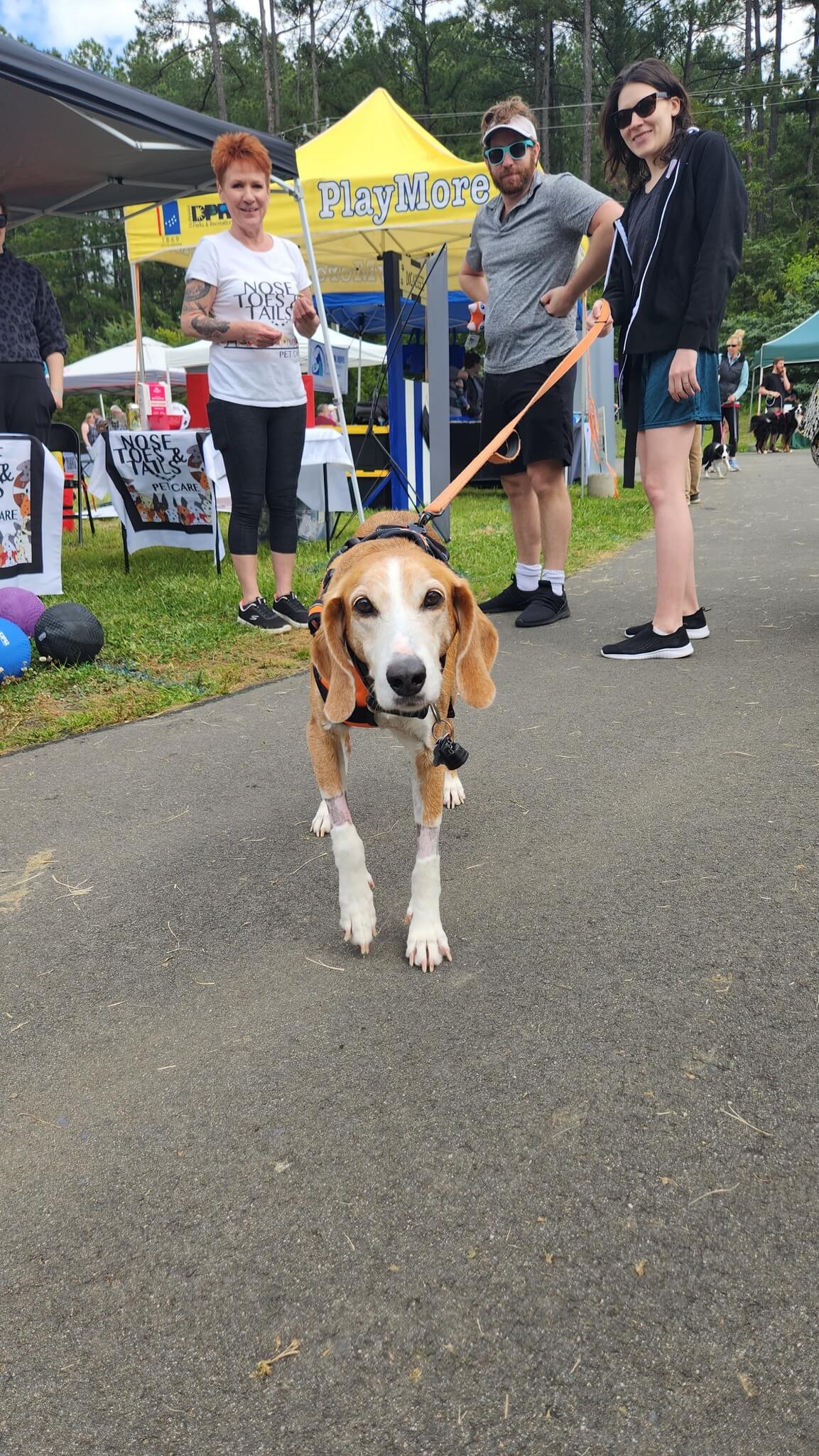 21 Wacky, Wild, & Woolly Festivals Happening in North Carolina in 2023