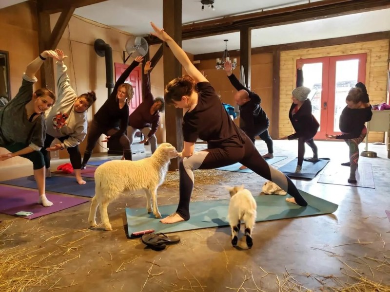 Make a New Friend in North Carolina: 13 Cheap & Easy Places To Do It