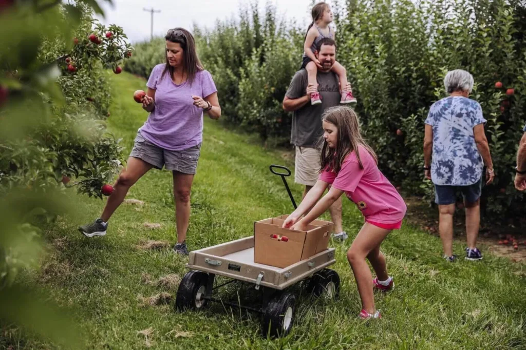 Your Ultimate Guide to U-Pick Fruits and Vegetables in North Carolina
