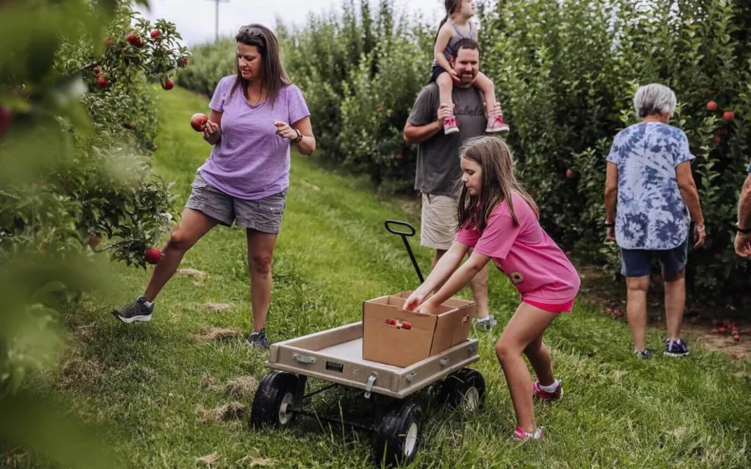 Your Ultimate Guide to U-Pick Fruits and Vegetables in North Carolina