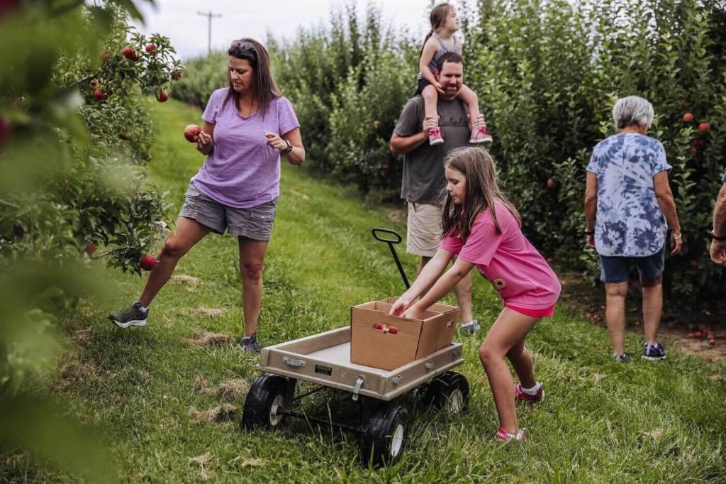Your Ultimate Guide to U-Pick Fruits and Vegetables in North Carolina