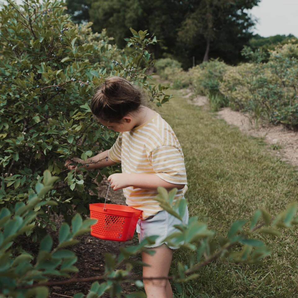 Your Ultimate Guide to U-Pick Fruits and Vegetables in North Carolina