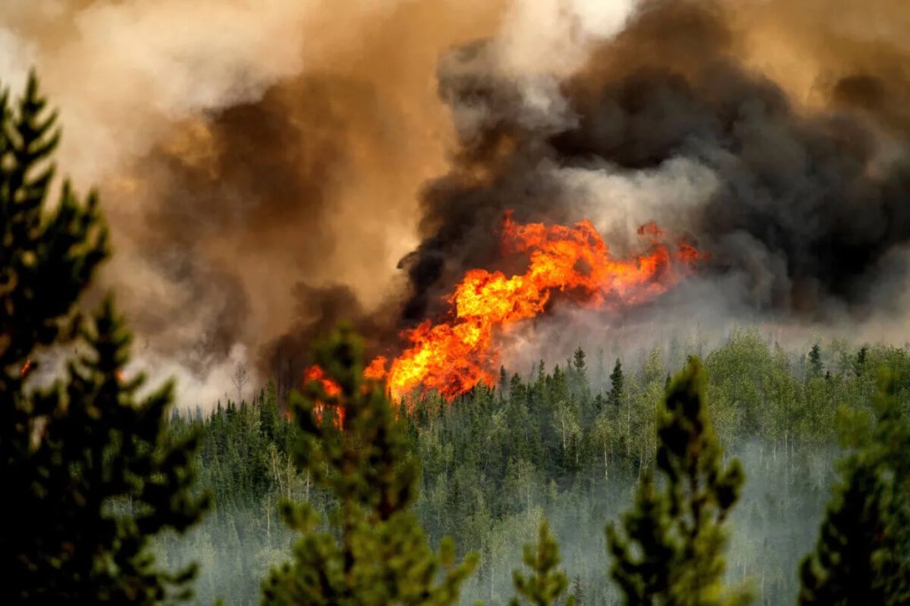 You’re Not Imagining the Haze: NC Air Quality is a ‘Code Orange’