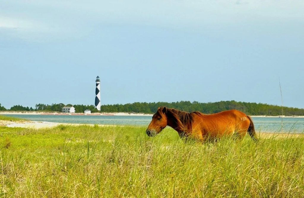 How to find 7 secret beaches in North Carolina
