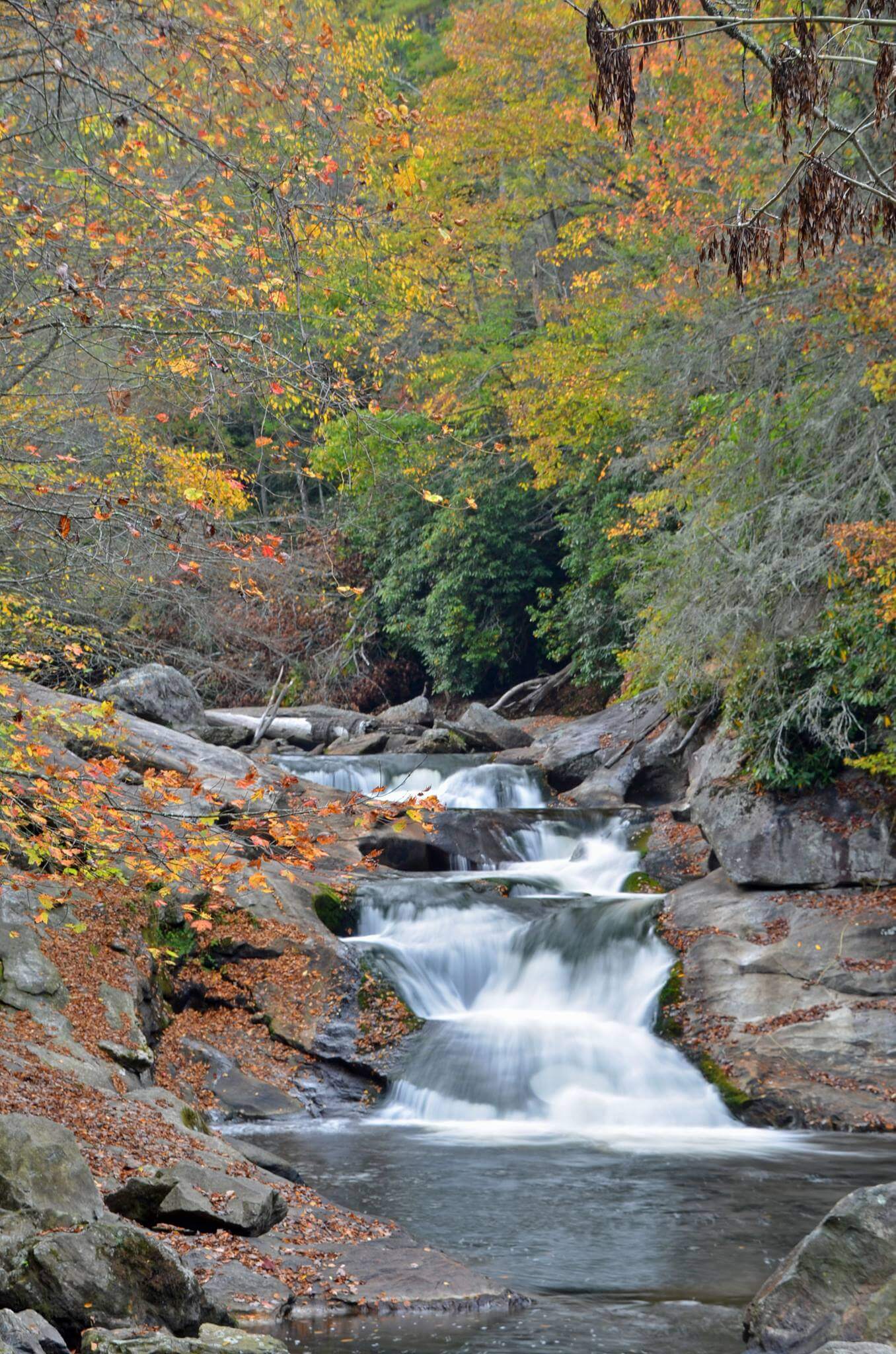 It Turns Out, North Carolina’s Swimming Holes are Enchanting 