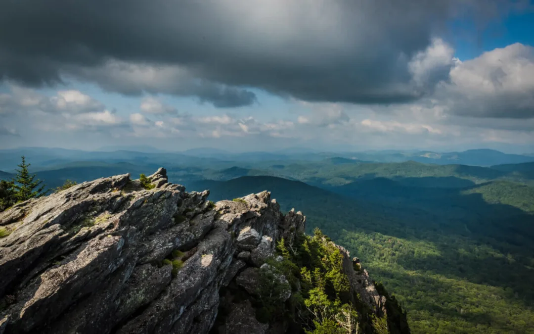 5 Facts About NC Nature We Promise Aren’t Made Up