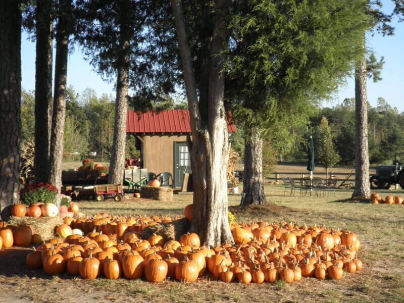 How to Get the Most Out of Fall in North Carolina’s Three Regions