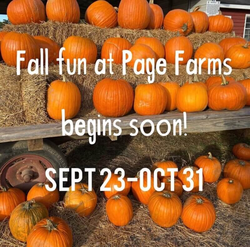 How to Get the Most Out of Fall in North Carolina’s Three Regions