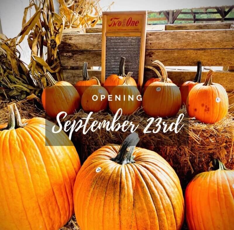 How to Get the Most Out of Fall in North Carolina’s Three Regions