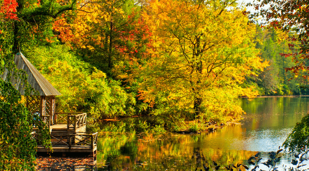 How to Get the Most Out of Fall in NC’s Three Regions