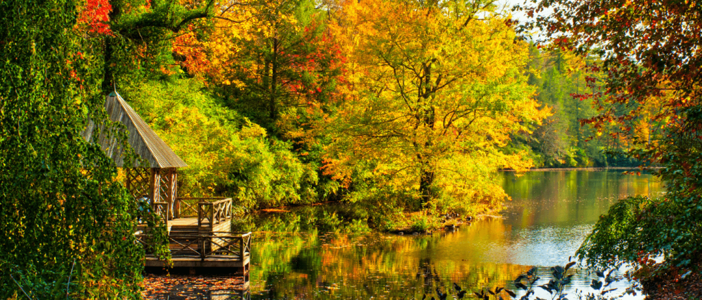 How to Get the Most Out of Fall in NC’s Three Regions