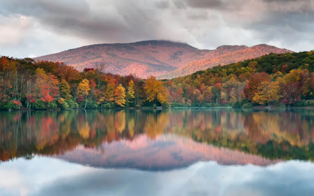 In Praise of Fall in North Carolina