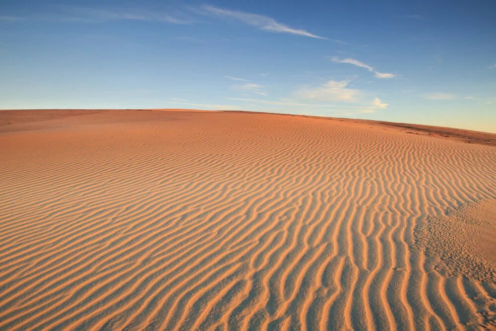 The Woman Who Stopped a Bulldozer to Save Jockey’s Ridge