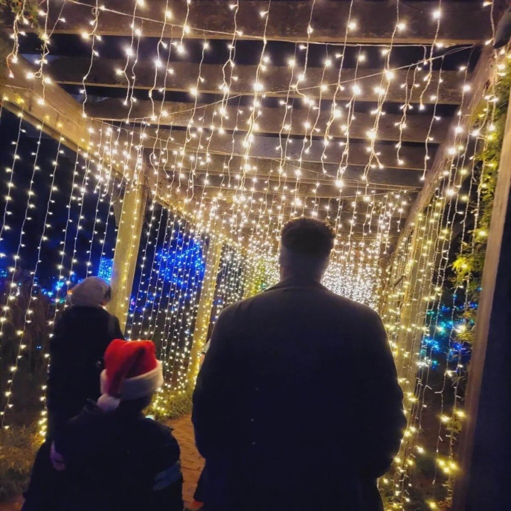 The 12 Best Christmas Tree Farms and Light Displays in NC