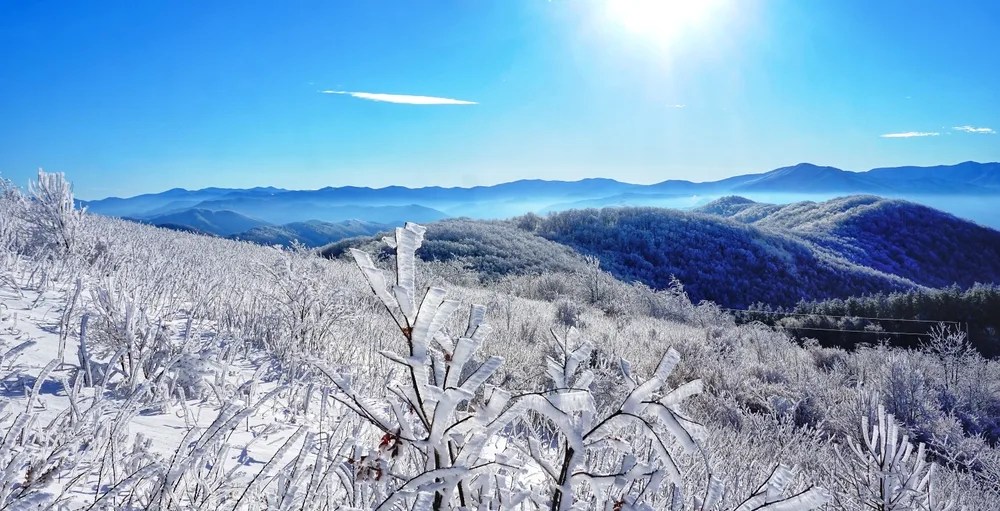 Good News Friday: NC has one of the best Christmas towns in America