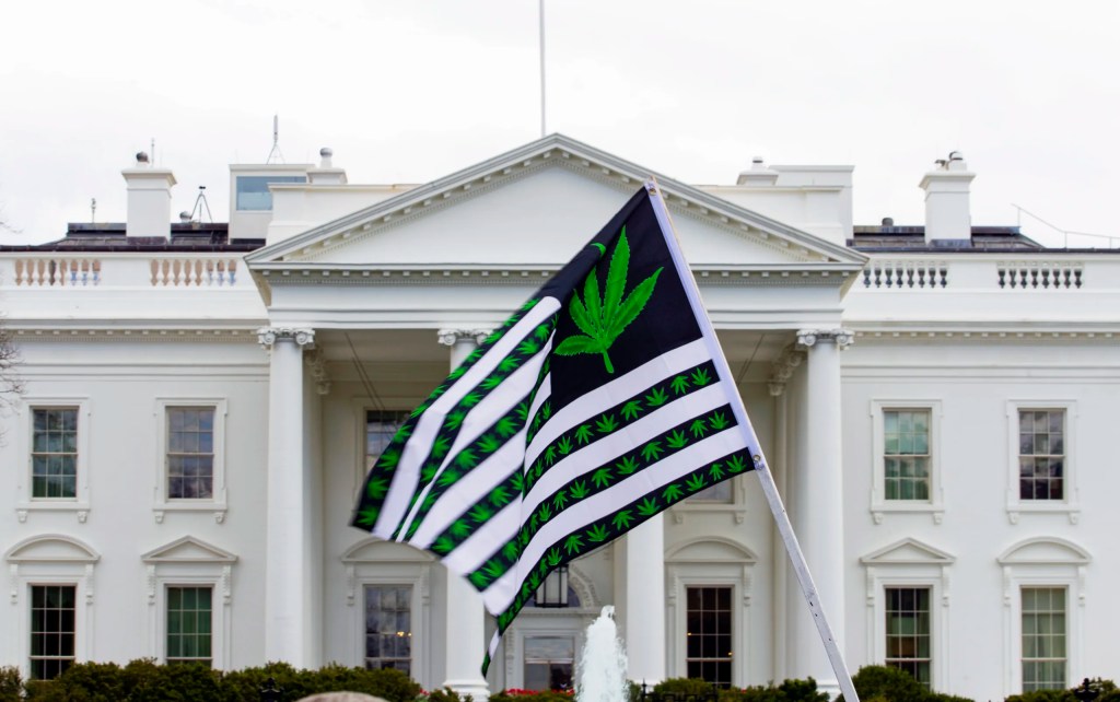 Biden pardons thousands of Americans convicted of marijuana possession
