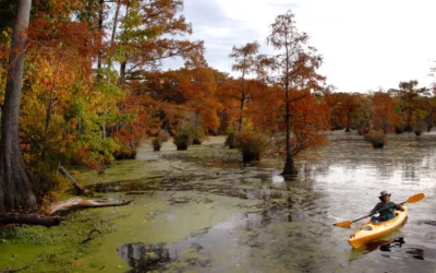 The lesser-known state park in northeastern NC that’s idyllic in spring
