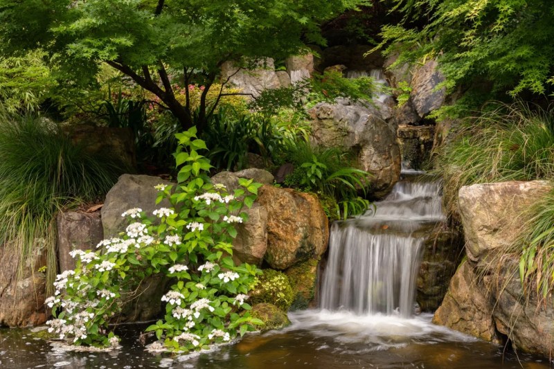 Sarah P. Duke Gardens